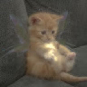 Meet your Posher, Jayde